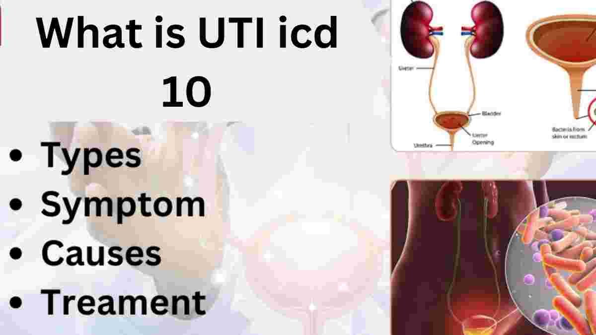 What is UTI icd 10